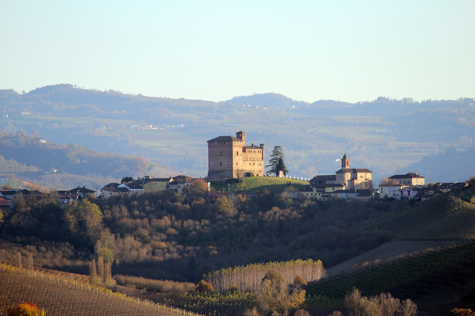 WIjnvelden in Le Langhe