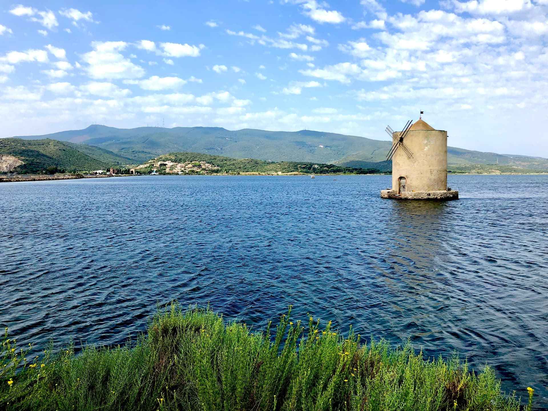 Moeras in de Maremma