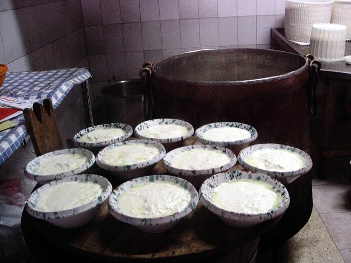 Ricotta