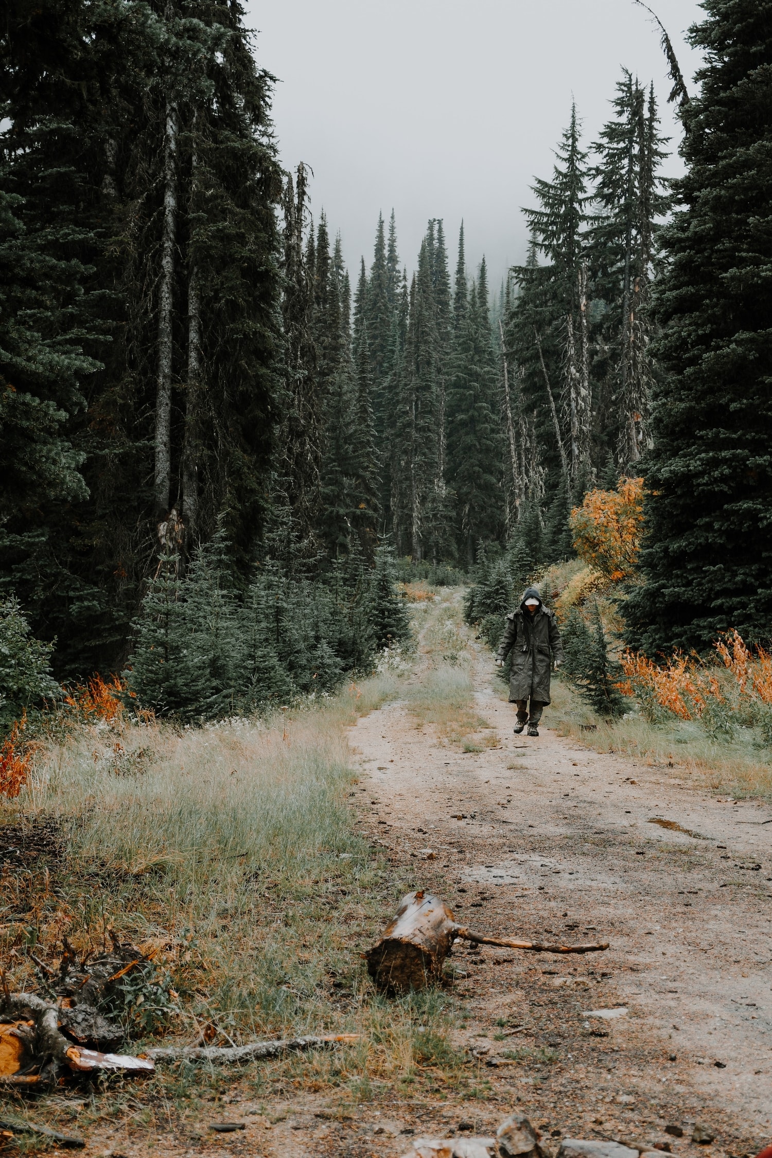 Wandelen in de Italiaanse natuur