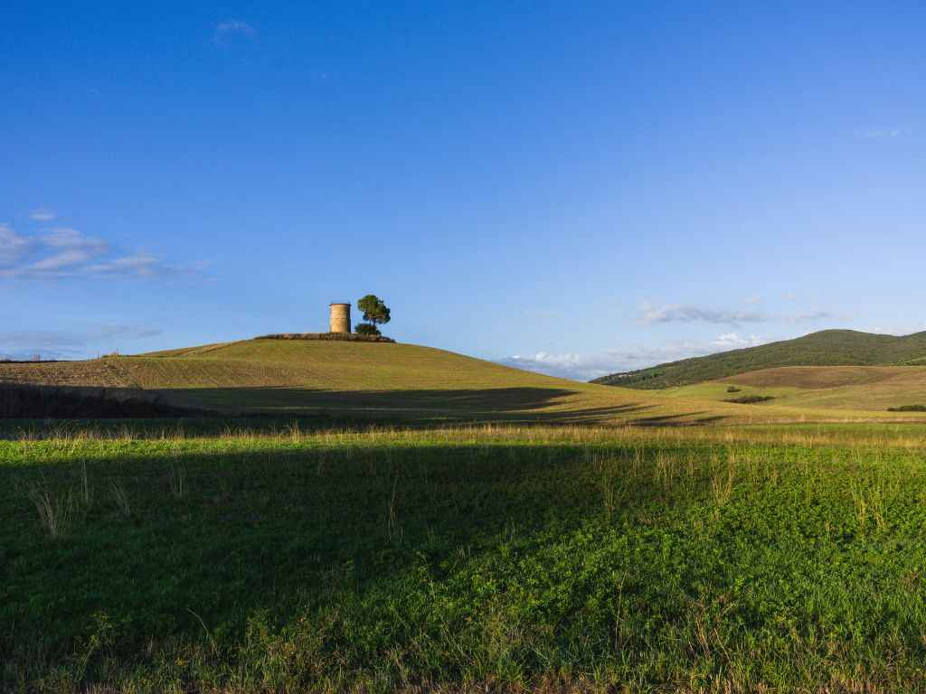 Bibbona & haar omgeving