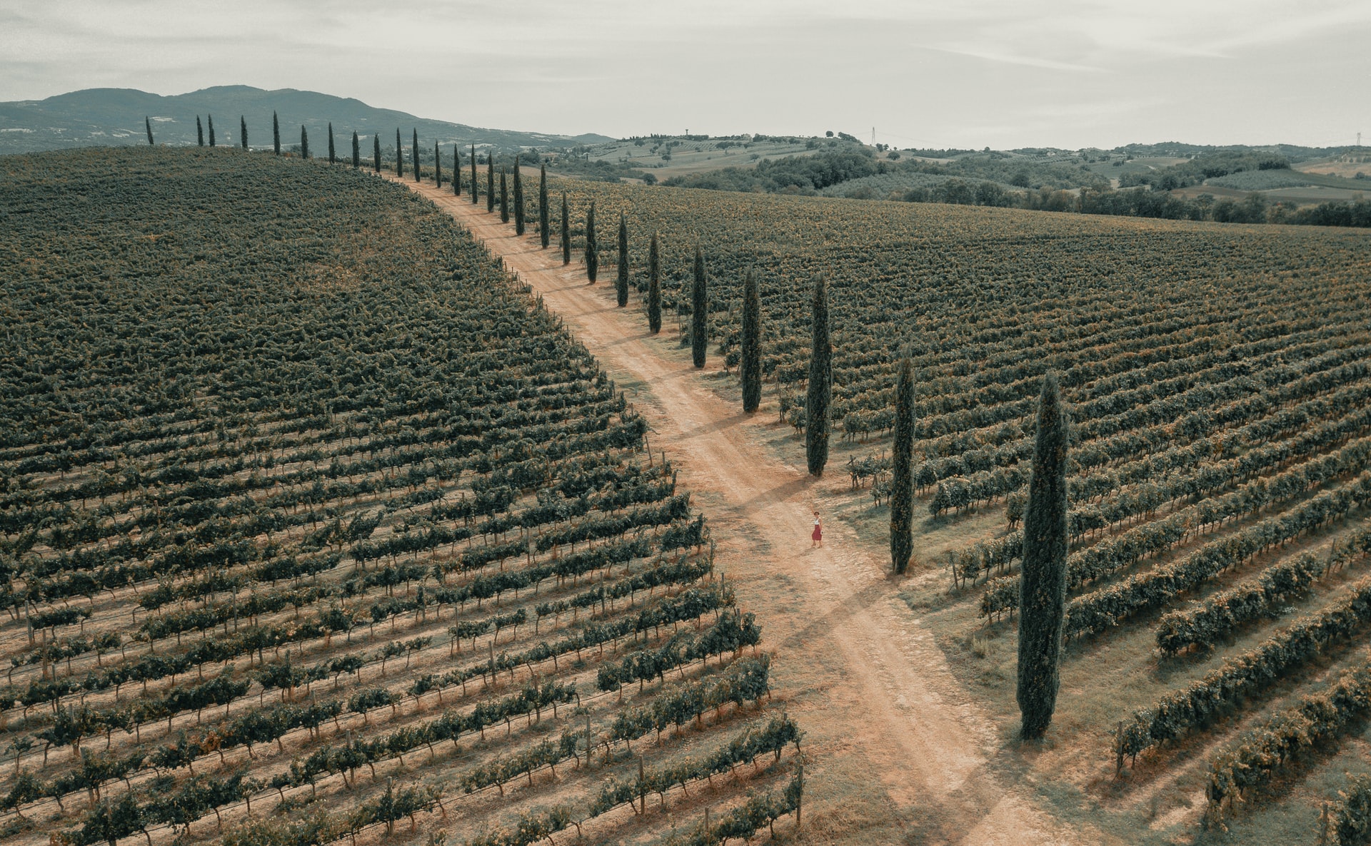 Toscane